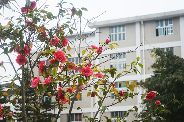四川省档案学校环境