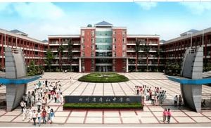 眉山实验高级中学是公立学校吗