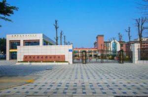 成都领川外国语学校有高中吗