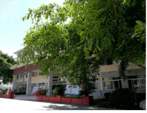 金堂县淮口中学是个什么学校