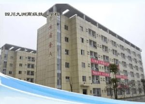 四川九洲技师学院是公立还是私立