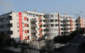 仁寿县华兴中学是民办还是公立学校