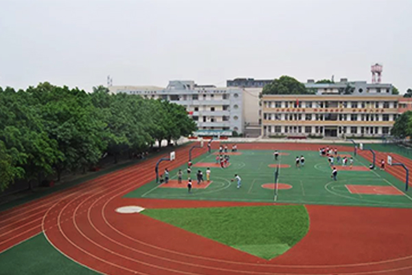 新都区泰兴中学校