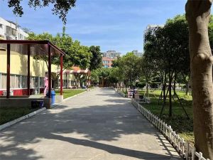 2023年成艺附中报考艺术特长生条件_成艺附中怎么样