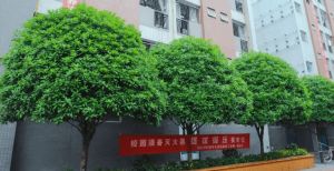 2023四川兴科城市交通高级技工学校招生计划_学校口碑好吗