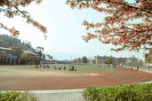 广元市树人中学2023年录取分数线是多少_地址在哪里