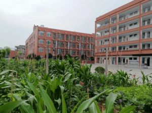 广元树人中学好进吗_师资力量