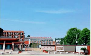广元市树人中学占地面积_办学特色