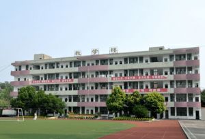 简阳石桥中学师资力量_高考成绩