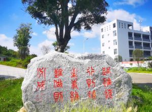 2023年南充科技职业学院招生专业_办学理念