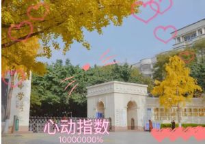 2024年四川双流中学师资力量_办学成果