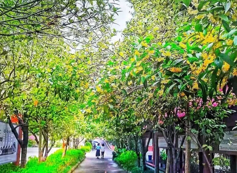 仁寿新科学校