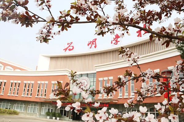 成都新津为明学校分数