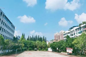 2024年成都新津为明学校招生简章_招生计划_收费标准
