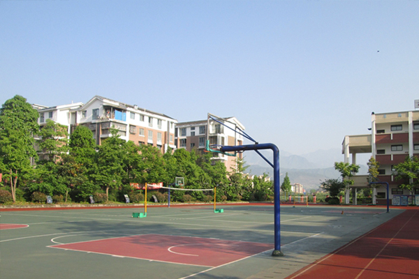都江堰市育才中学分数线