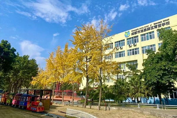龙泉驿区青苗学校招生