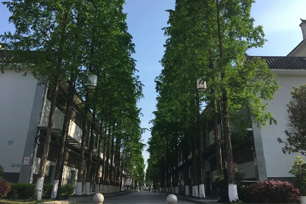 师一中学校