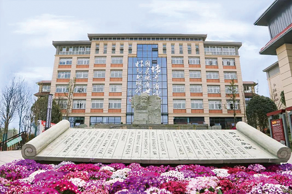 眉山东辰学校分数线