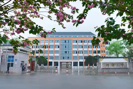 四川省成都市郫都区第三中学