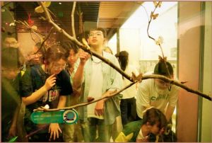 2024年成都市新都升庵中学教学特色有介绍_获得过哪些荣誉奖项