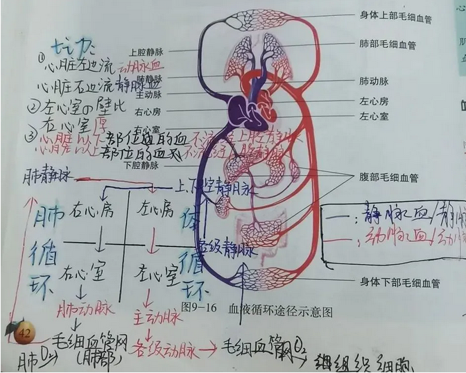 成都市郫都区川科外国语学校