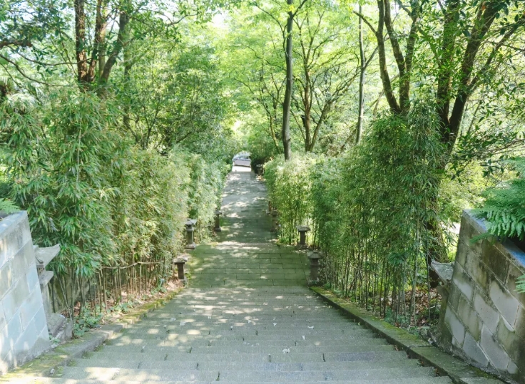 都江堰市嘉祥外国语学校