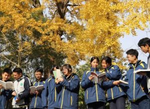 2025年都江堰市领川实验学校办学规模怎么样_办学规模大不大
