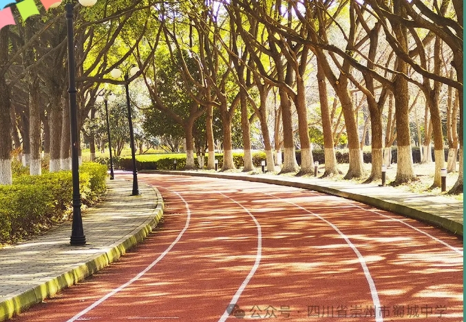 崇州市蜀城中学