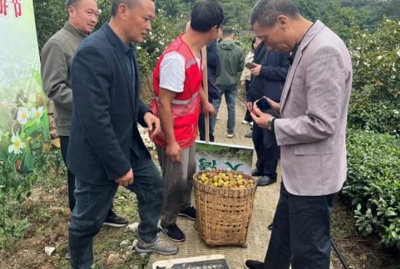 自贡职业技术学校