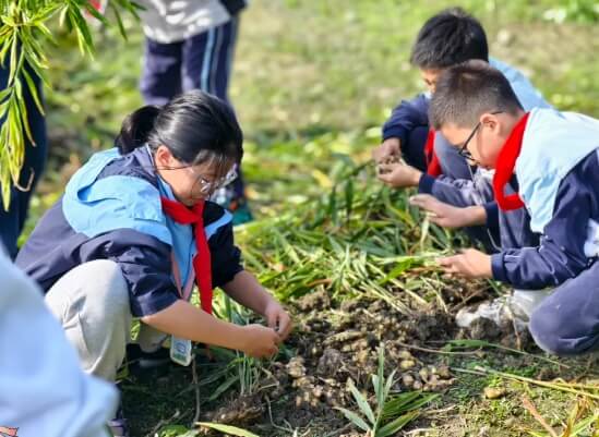 成都市郫都区绵实外国语学校