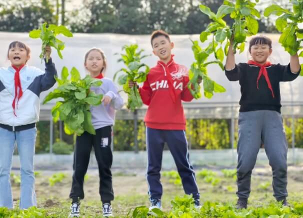 成都市郫都区绵实外国语学校