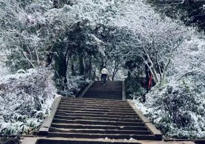 2025年成都佳兴外国语学校升学率高吗_升学率介绍