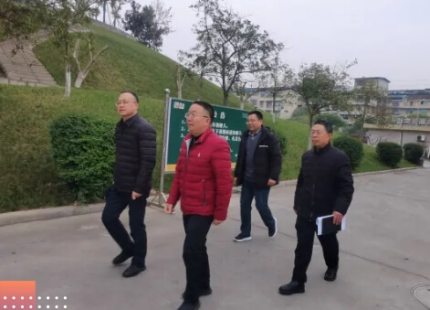 绵阳高新区实验中学