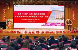 2025年眉山东辰学校是重点学校吗_学校介绍