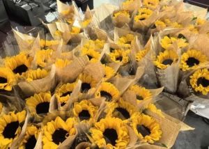 2025年成都新运职业学校宿舍条件如何_宿舍条件介绍