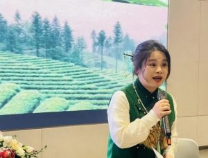 2025年新川外国语的口碑怎么样_学校介绍
