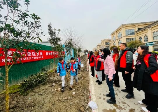 新津成外