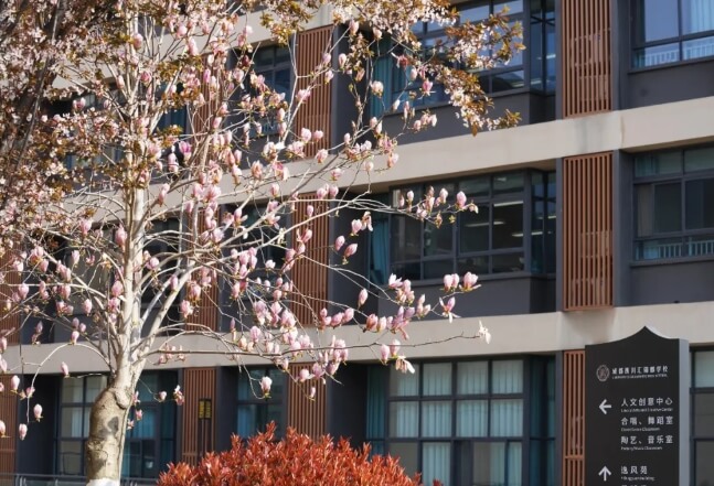 成都市郫都区西川汇锦都学校