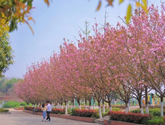 四川希望汽车职业学院