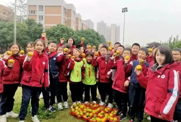 成都冠城实验学校