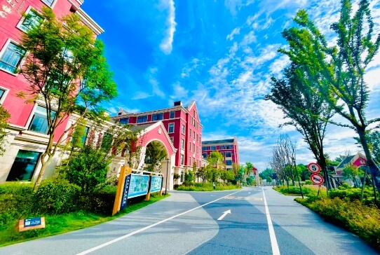 成都市新津区成外学校