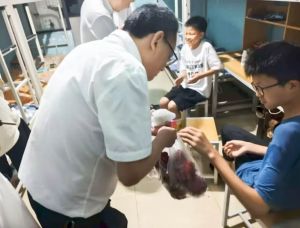 2025年四川科华技工学校专业如何_专业介绍