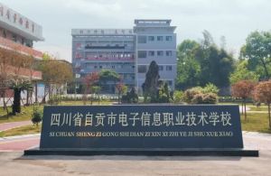 2024年成都市新津区成外学校学校简介_办学思路是什么