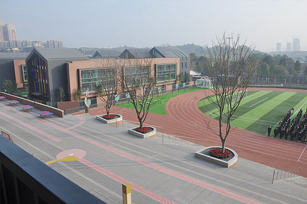 天府新区实外高级中学环境
