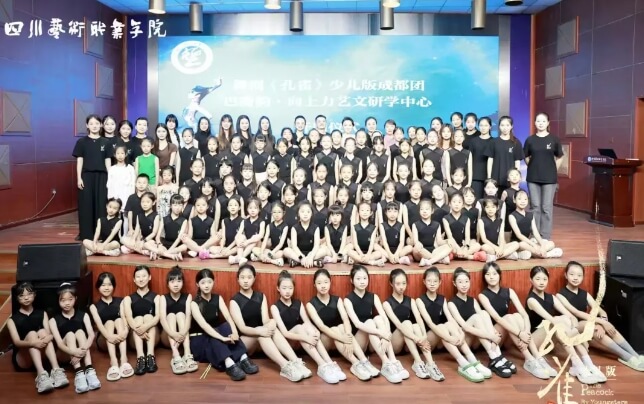 四川艺术职业学院 四川艺术职业学院