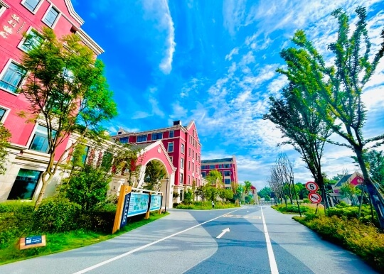 成都市新津区成外学校