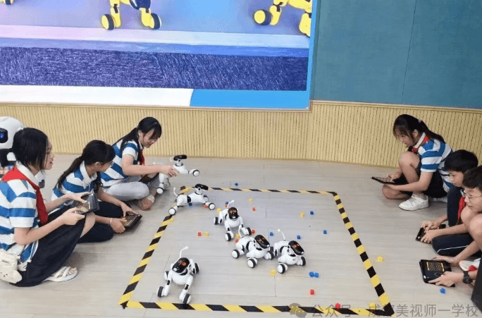 成都美视师一学校