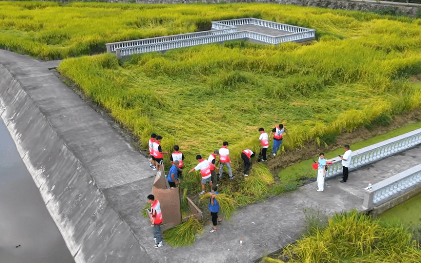 四川省三台中学