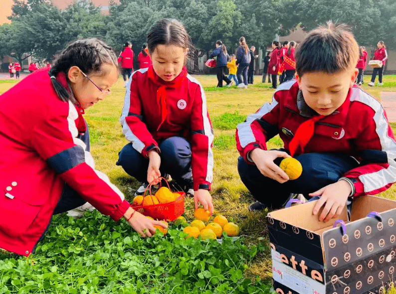 成都市温江区冠城实验学校