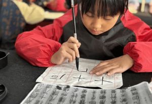 2026年安居育才中学校招生计划_招生分数